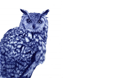 881199 (a): :1920x1134